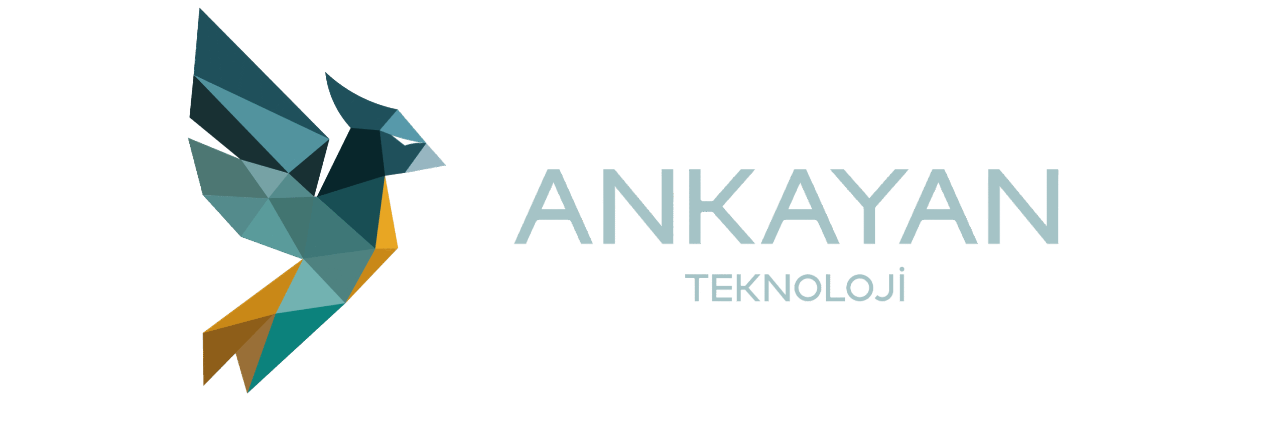 ankayan teknoloji logo açık