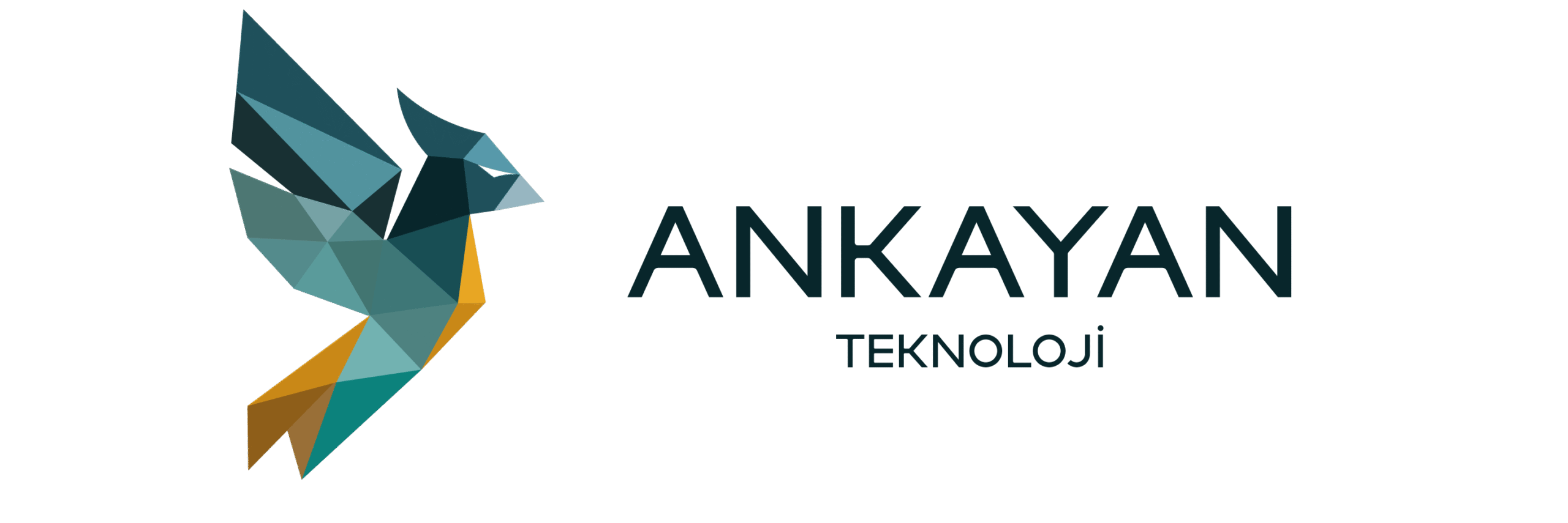 ankayan teknoloji logo koyu